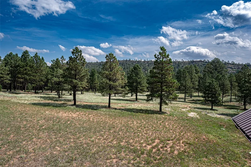 115 Blue Deer Ranch Road, B-109, Buena Vista, NM 87712, Buena Vista, New Mexico, United States. - Photo 21