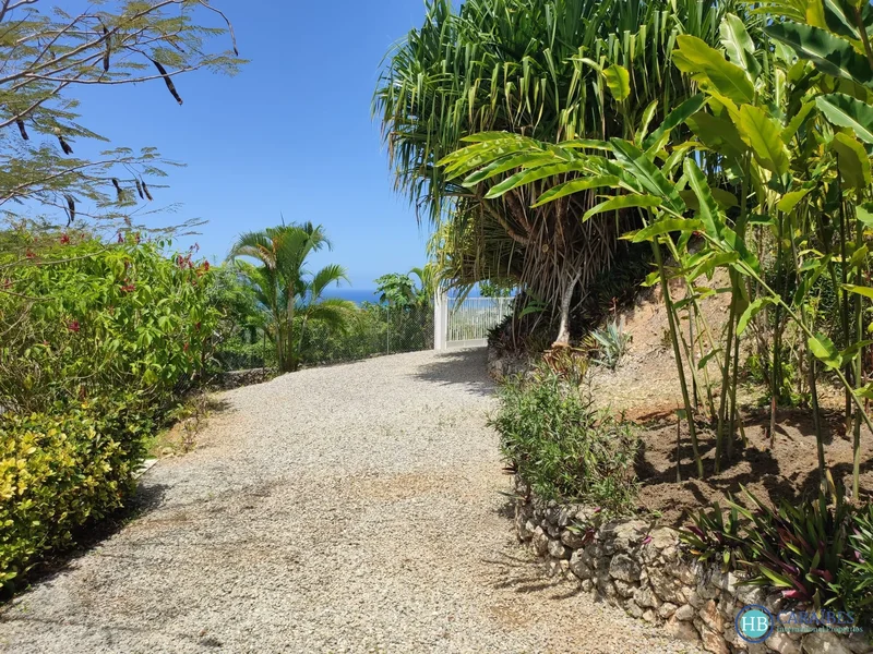 Las Terrenas, Las Terrenas, Las Terrenas, Samaná Province, Dominican Republic. - Photo 29