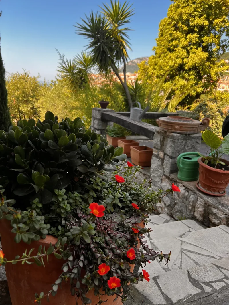 Saint-Jeannet, Provence-Alpes-Côte d'Azur, France. - Photo 14