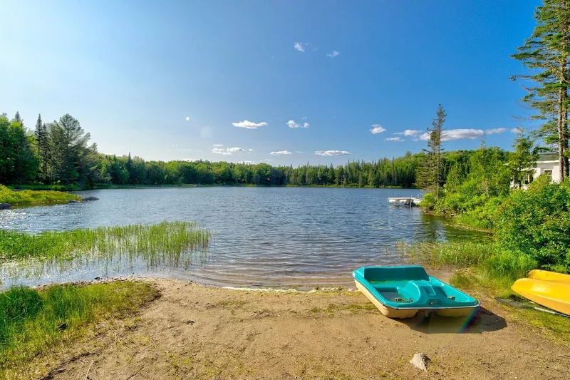 2349 Ch. du Lac-Canard, Sainte-Lucie-des-Laurentides, QC J0T2J0, Sainte-Lucie-des-Laurentides, Quebec, Quebec, Canada. - Photo 48