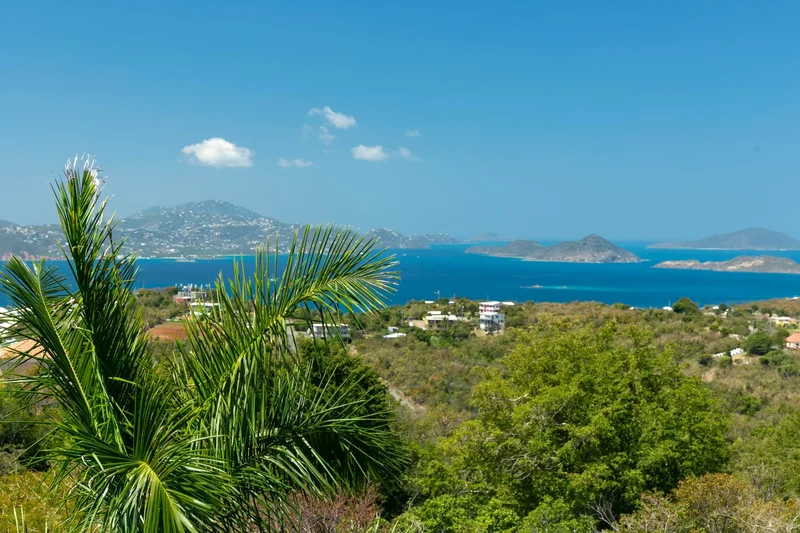 4-71 Rem Sans Soucci & Guinea Gut, St. John, VIRGIN ISLANDS (U.S.), Cruz Bay, St. John, U.S. Virgin Islands. - Photo 29