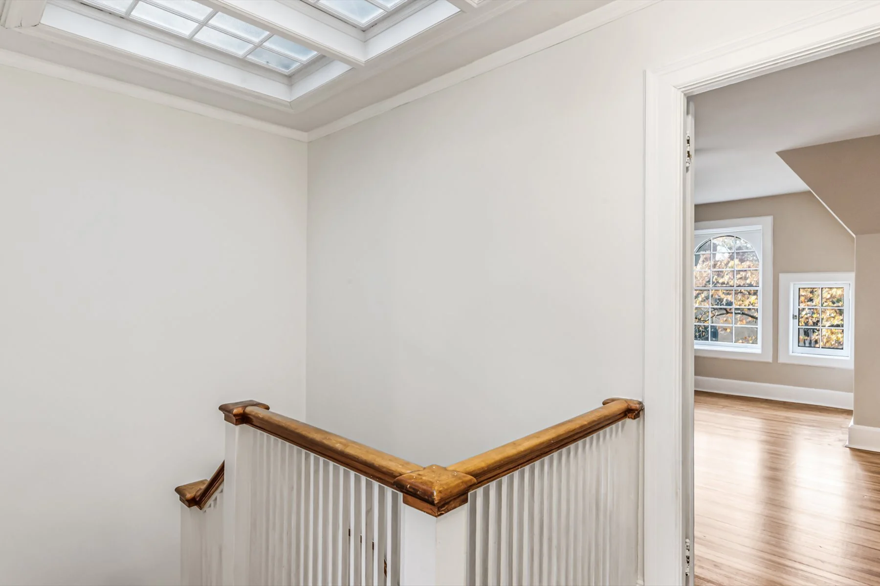 Gallery photo 11