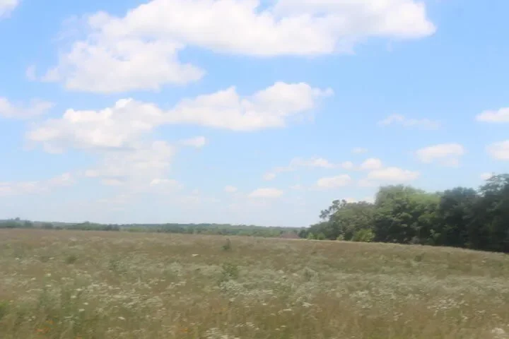 3176 S 170th Road, Polk, MO 65727, Bolivar, Missouri, United States. - Photo 24