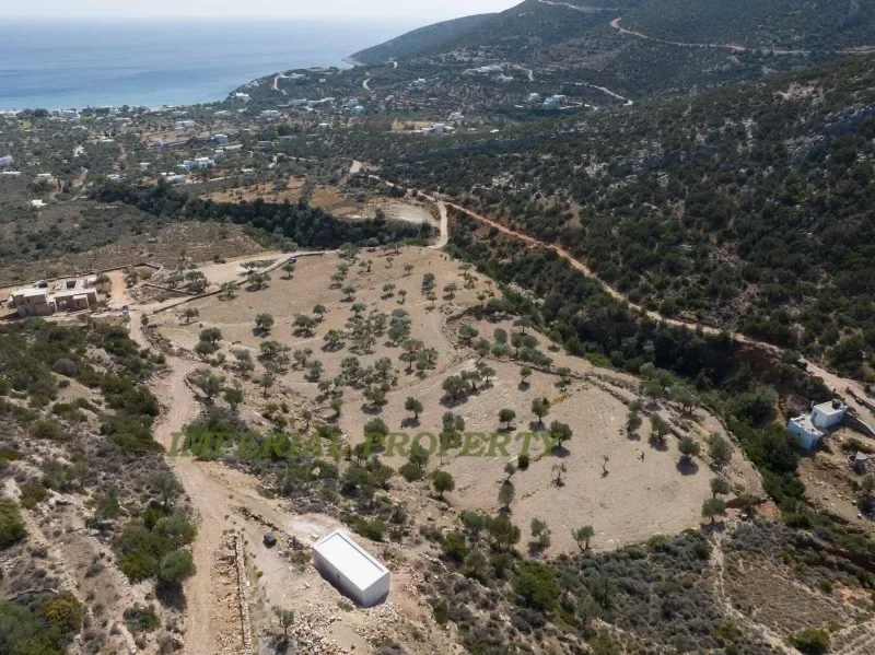 Community of Apollonia, Aegean, Greece. - Photo 15