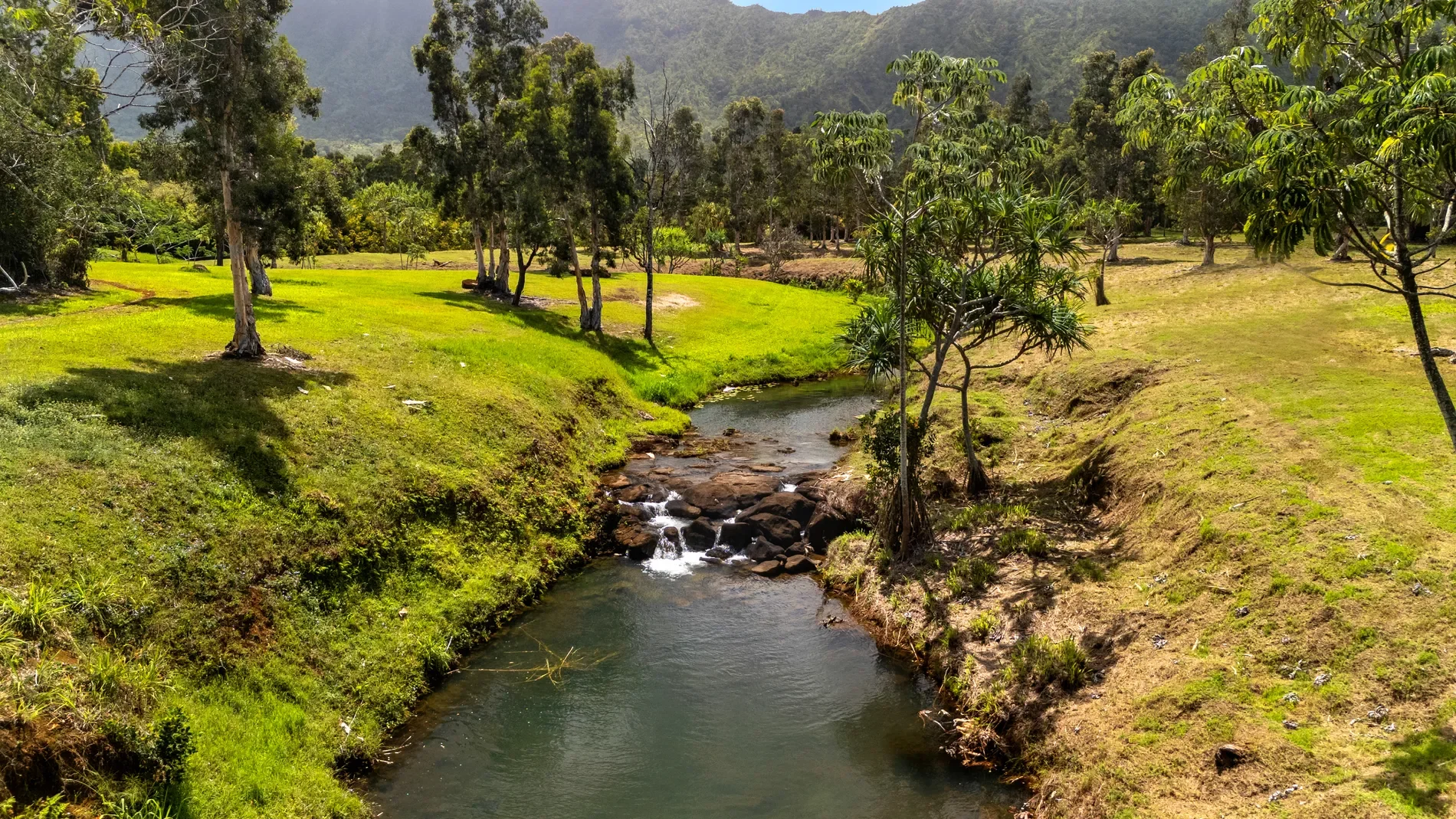 2818 KAMOOKOA RD, #5, Kilauea, HI, 96722, USA, Kilauea, Hawaii, United States. - Photo 17