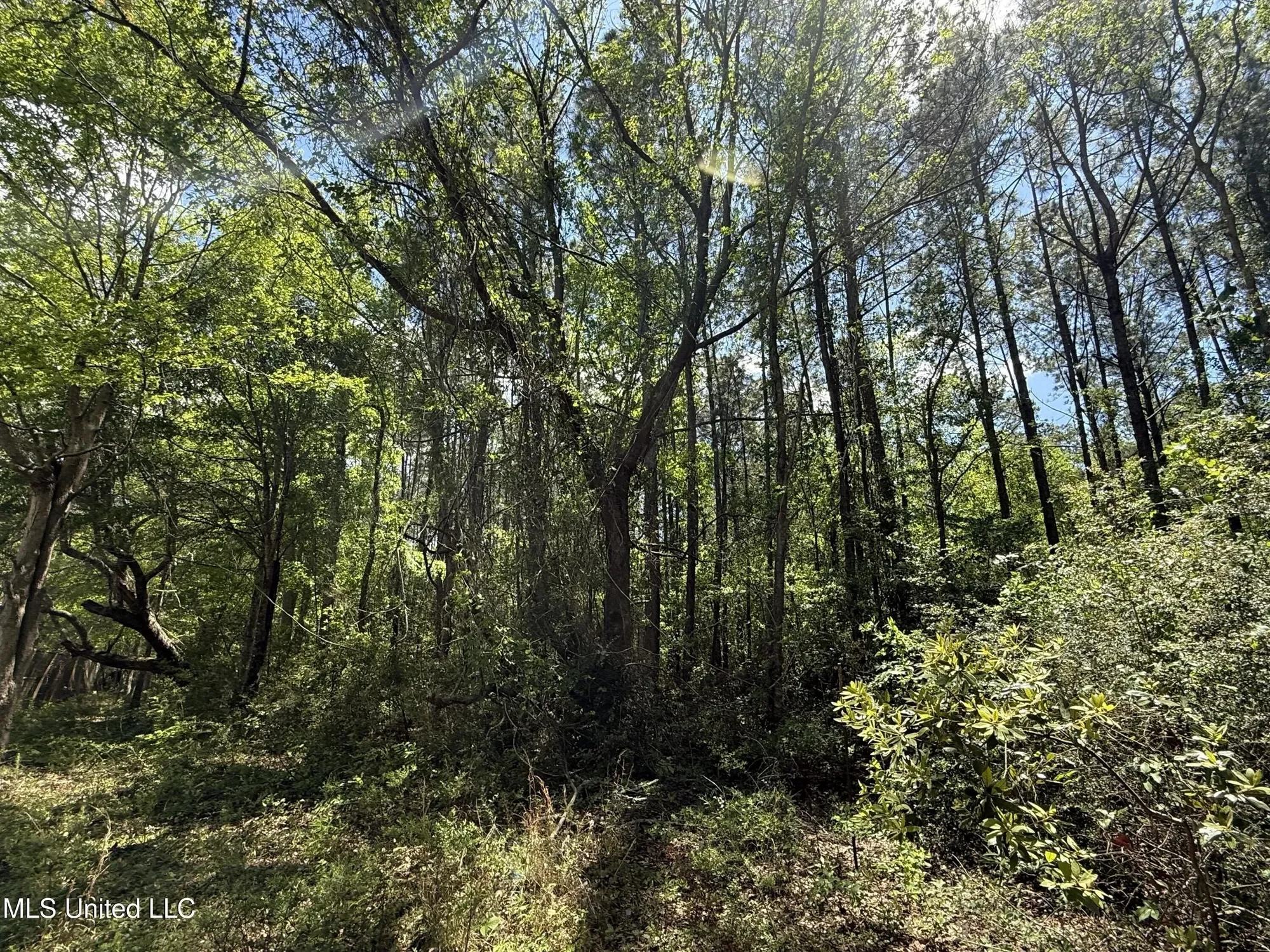 7701 Bienville Boulevard lot: 90 90, Ocean Springs, MS 39564, Ocean Springs, Mississippi, United States. - Photo 19