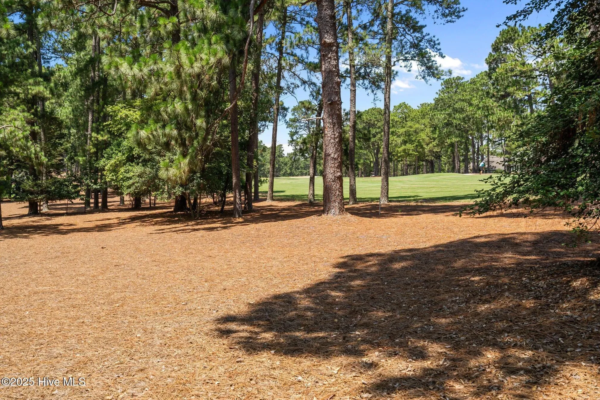 12 Lasswade Drive, Pinehurst, North Carolina, United States. - Photo 37