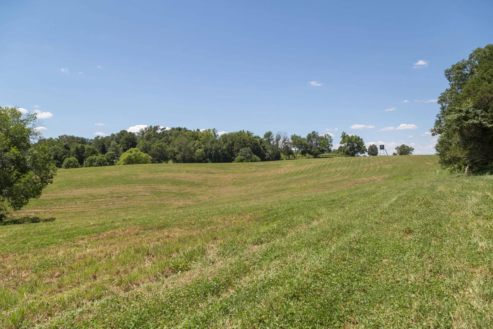 240 Stoneleigh Road, Palmyra, VA 22963, Lake Monticello, Virginia, United States. - Photo 47