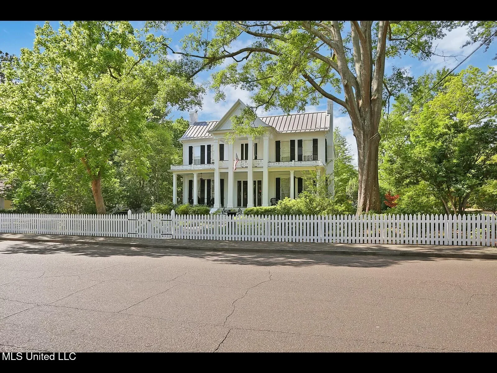 Gallery photo 5