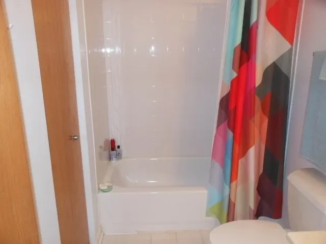 1250 S Indiana Ave 803, Chicago, IL 60605, Chicago, Illinois, United States. - Photo 24