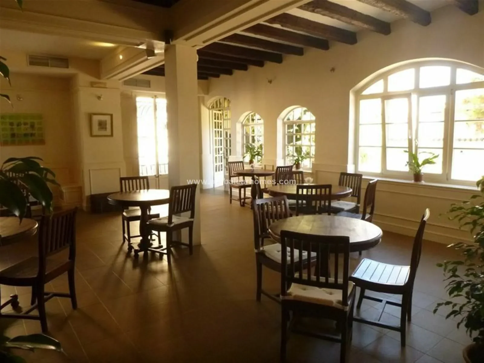EL TERRENO, PALMA DE MALLORCA, Baleares, PALMA DE MALLORCA, Palma, Balearic Islands, Spain. - Photo 21
