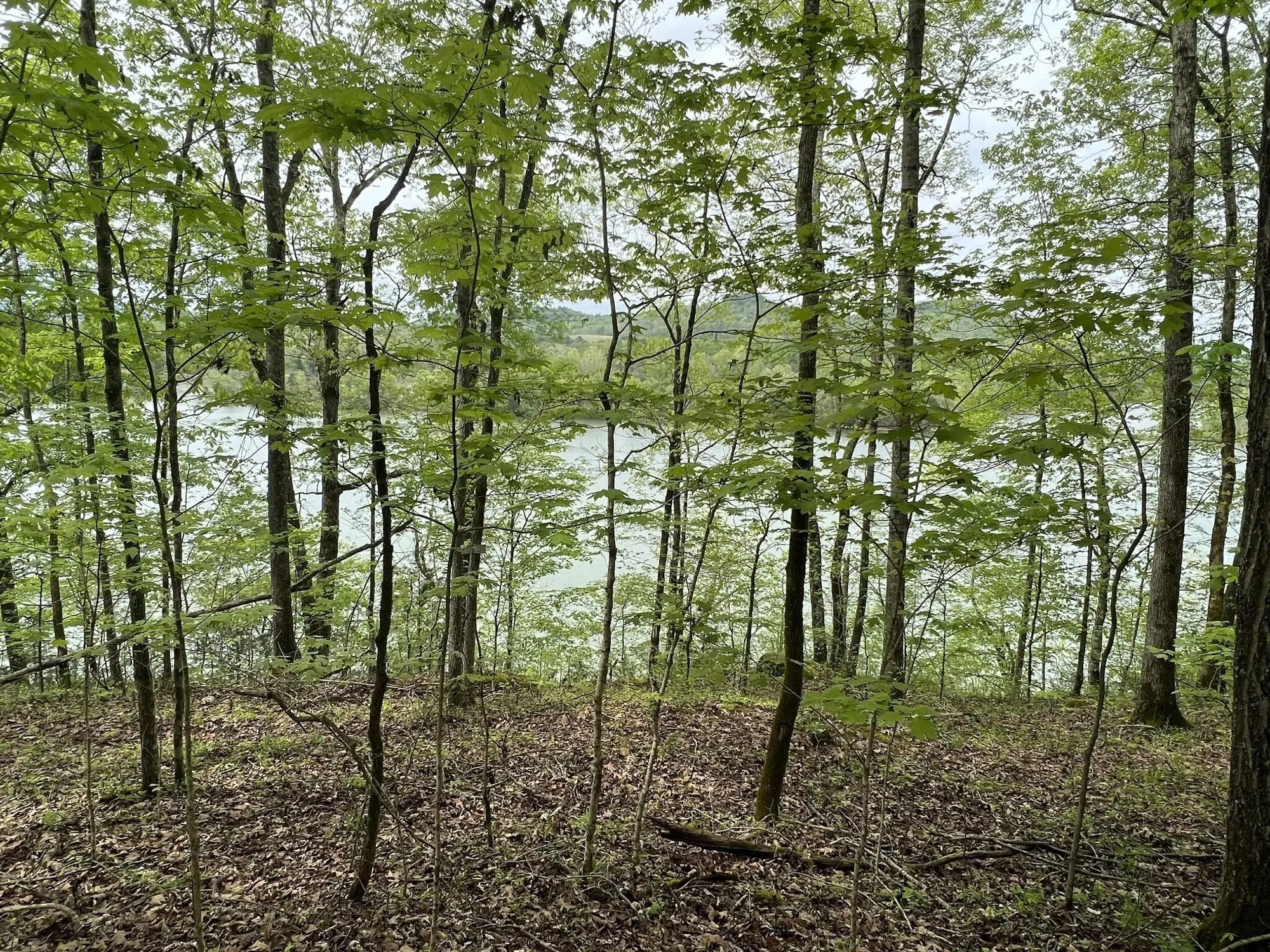 0 Huff Hollow Rd , Granville, TN 38564, Granville, Tennessee, United States. - Photo 21