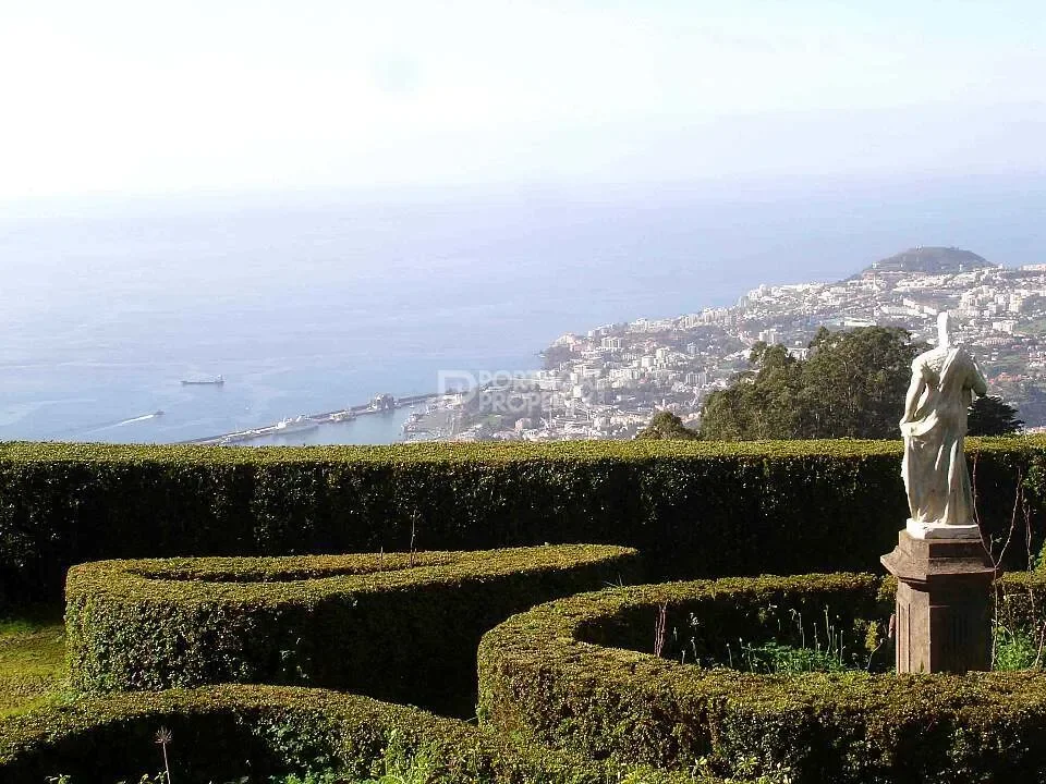 Funchal, Madeira, Funchal, Se, Madeira, Portugal. - Photo 13