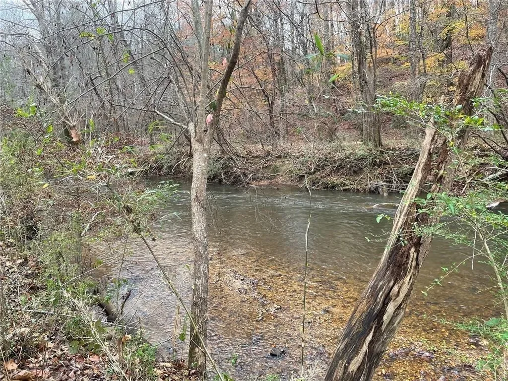 33 T J Mote Road, Dahlonega, Georgia, United States. - Photo 51