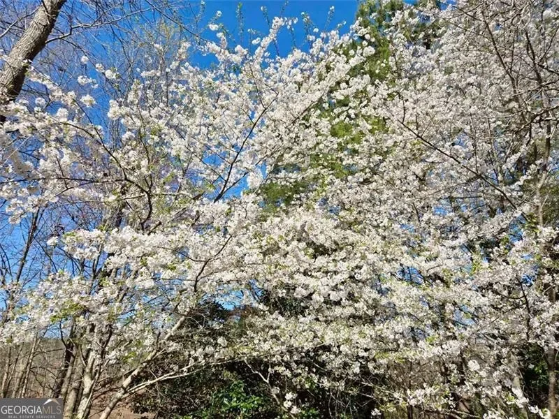 Chattahoochee Hills, Georgia, United States. - Photo 81