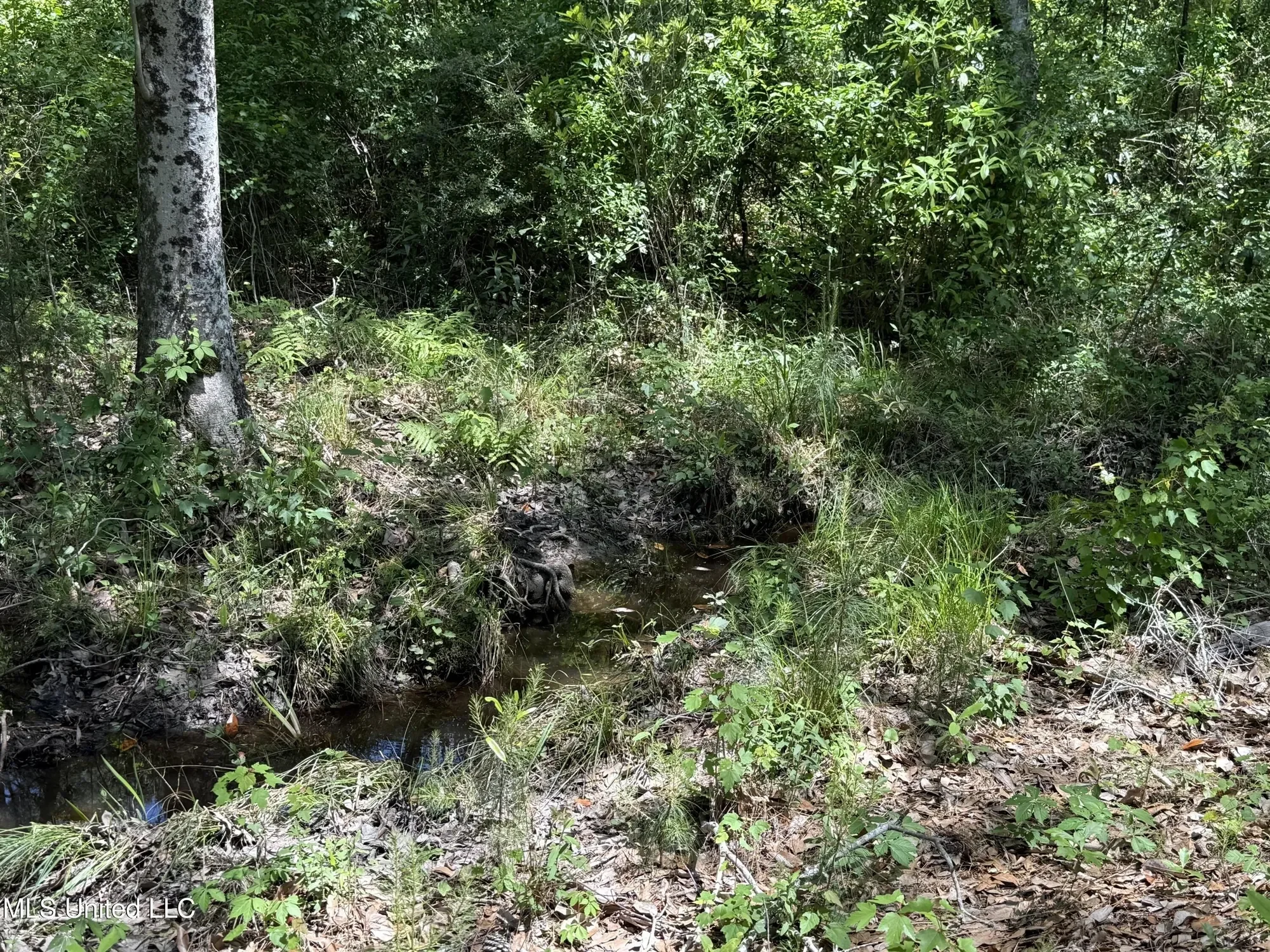 7701 Bienville Boulevard lot: 90 90, Ocean Springs, MS 39564, Ocean Springs, Mississippi, United States. - Photo 31