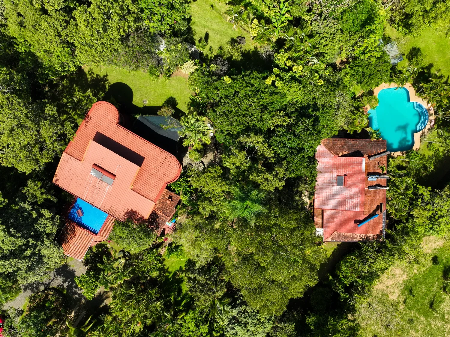 Alajuela Province, Atenas, Costa Rica, Atenas, Alajuela Province, Costa Rica. - Photo 6