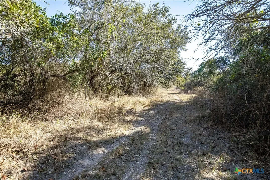 6498 Hwy 35 N, Rockport, TX 78382, Rockport, Texas, United States. - Photo 24