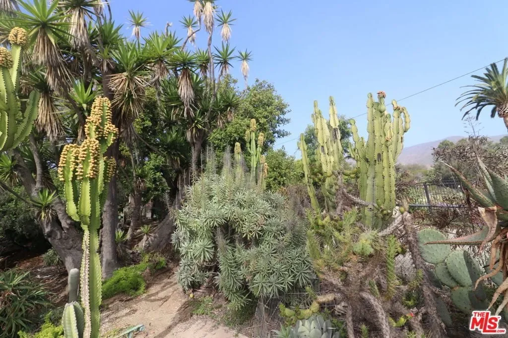 20776 Big Rock Drive, Malibu, California, United States. - Photo 6