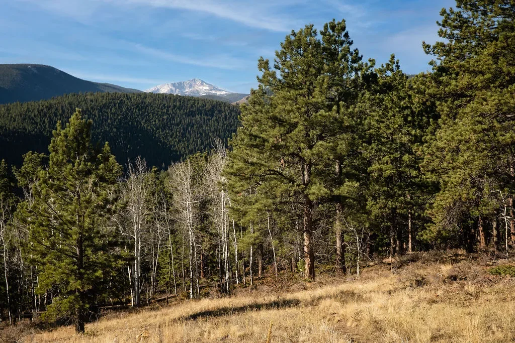 5 Ridge View Rd, Nederland, CO 80466, Nederland, Colorado, United States. - Photo 1