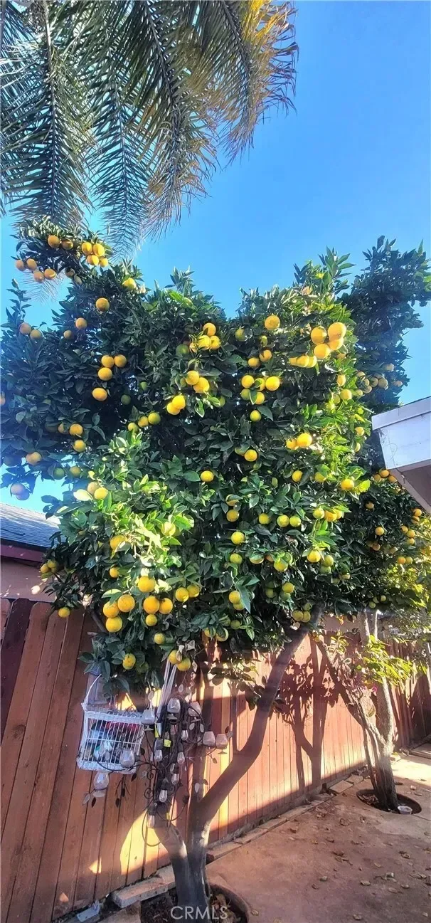 10181 Larson Avenue, Garden Grove, California, United States. - Photo 17