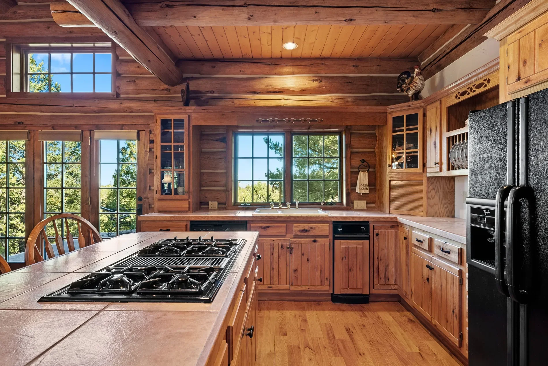 1010 Cantiberry Road , Divide, CO 80814, Westcreek, Colorado, United States. - Photo 1