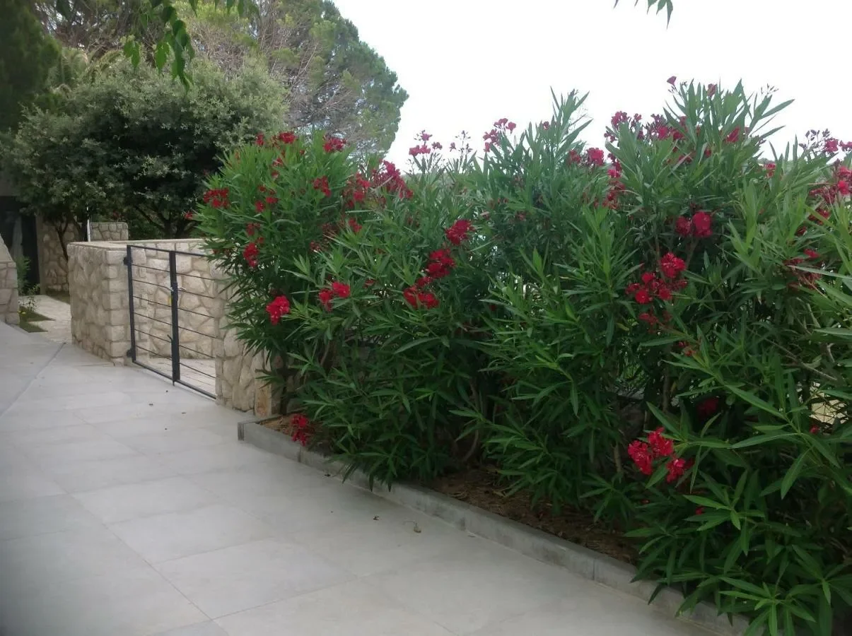 Exterior photo 9