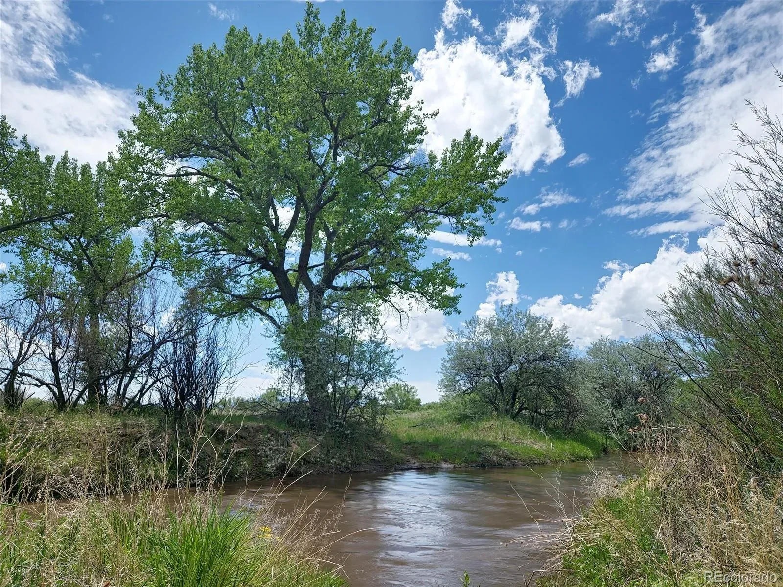 Walsenburg, Colorado, United States. - Photo 12