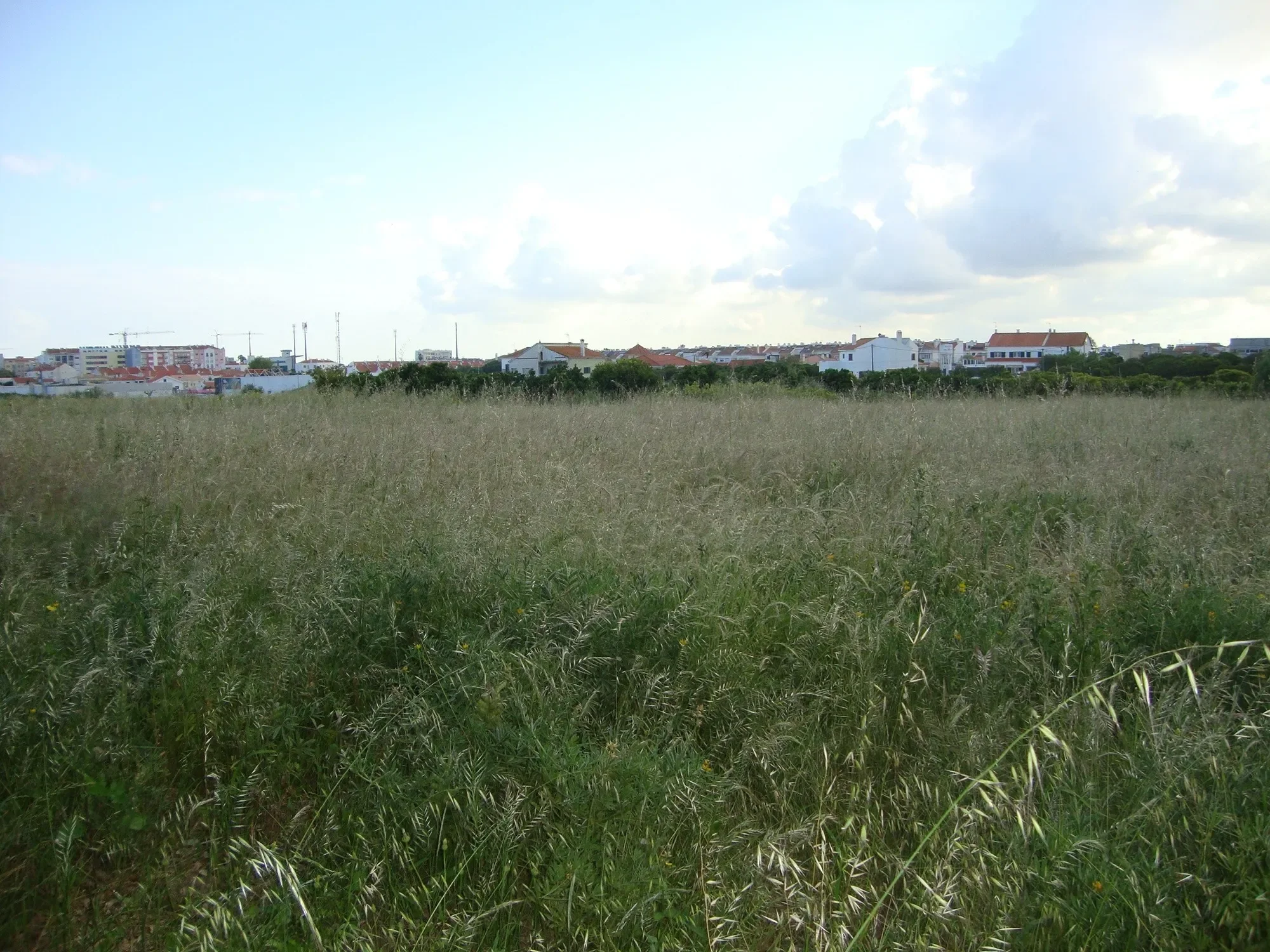 Setúbal, Alcochete, Setubal, Portugal. - Photo 13