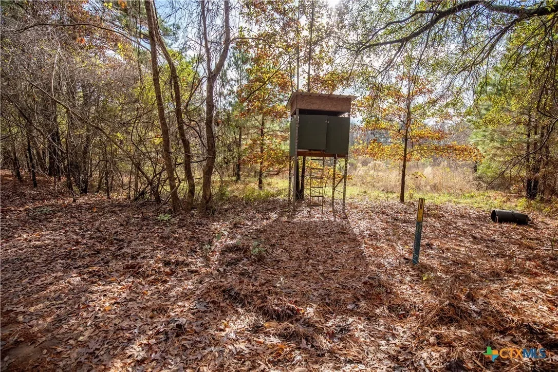474 Pr 4311, White Oak, TX 75693, Longview, Texas, United States. - Photo 15