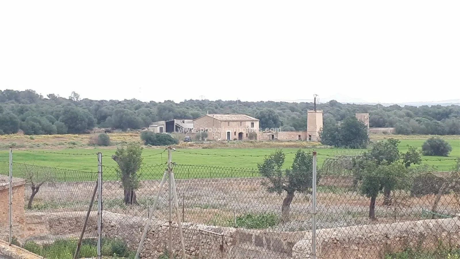 Palma De Mallorca Rustic