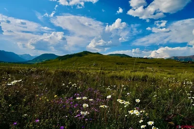 Thumbnail 22