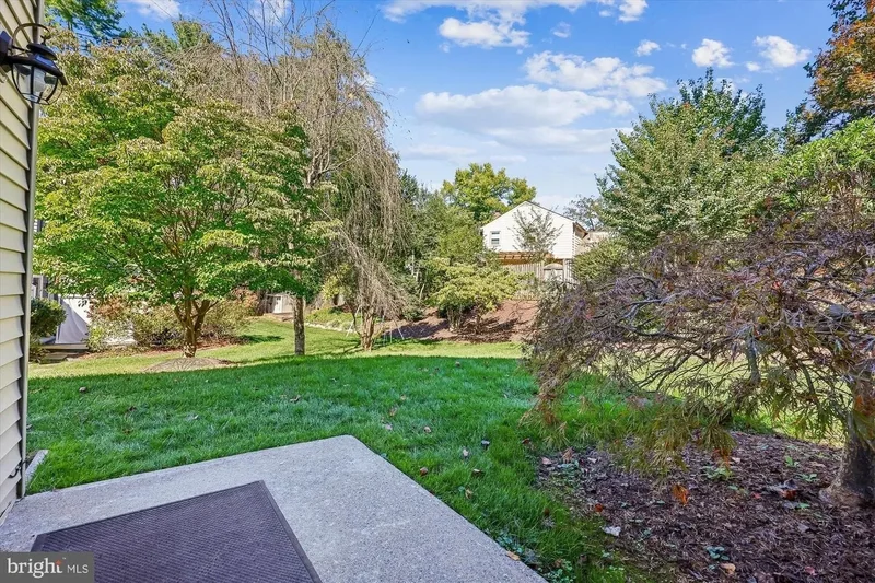 9013 WANDERING TRAIL DR, POTOMAC, MD, 20854, USA, Rockville, Maryland, United States. - Photo 47