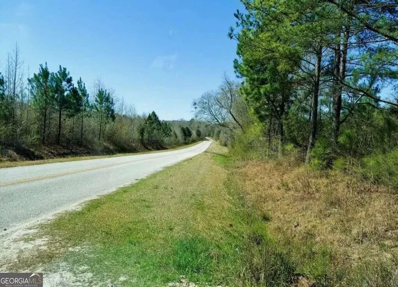 Franklin, Georgia, United States. - Photo 19