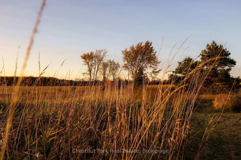 324310 SIDEROAD 27 Road, Meaford, Ontario, Canada. - Photo 44