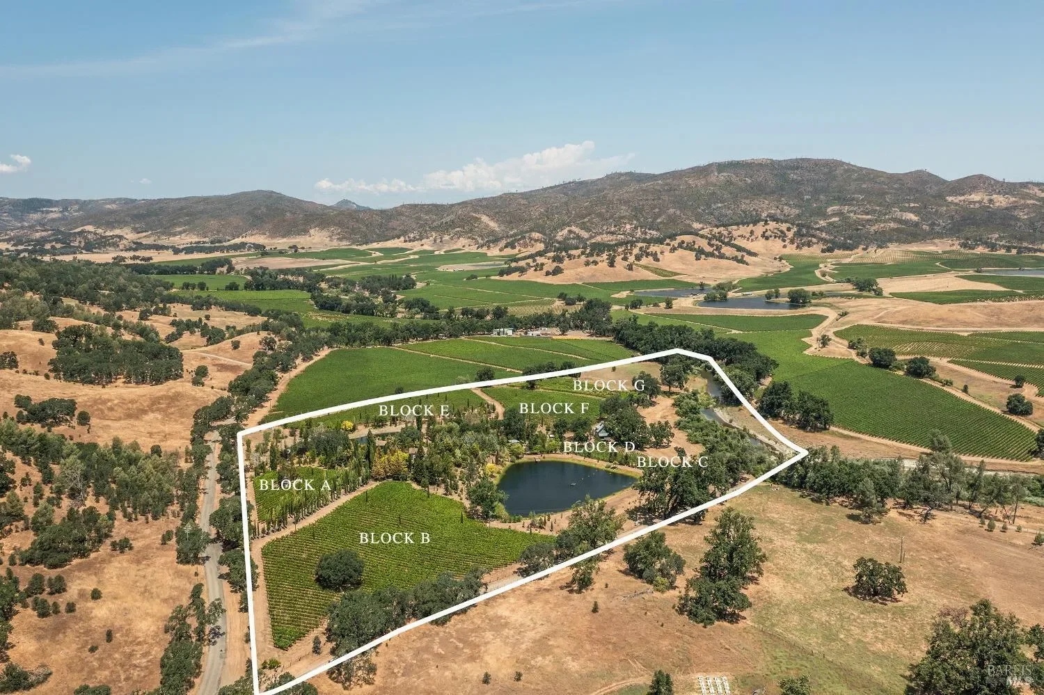 2322 Barnett Road, St. Helena, California, United States. - Photo 60
