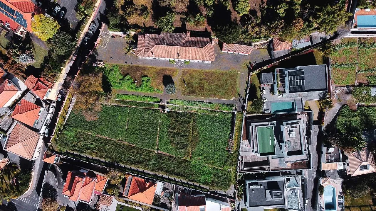 Funchal, Madeira, Funchal, Se, Madeira, Portugal. - Photo 5