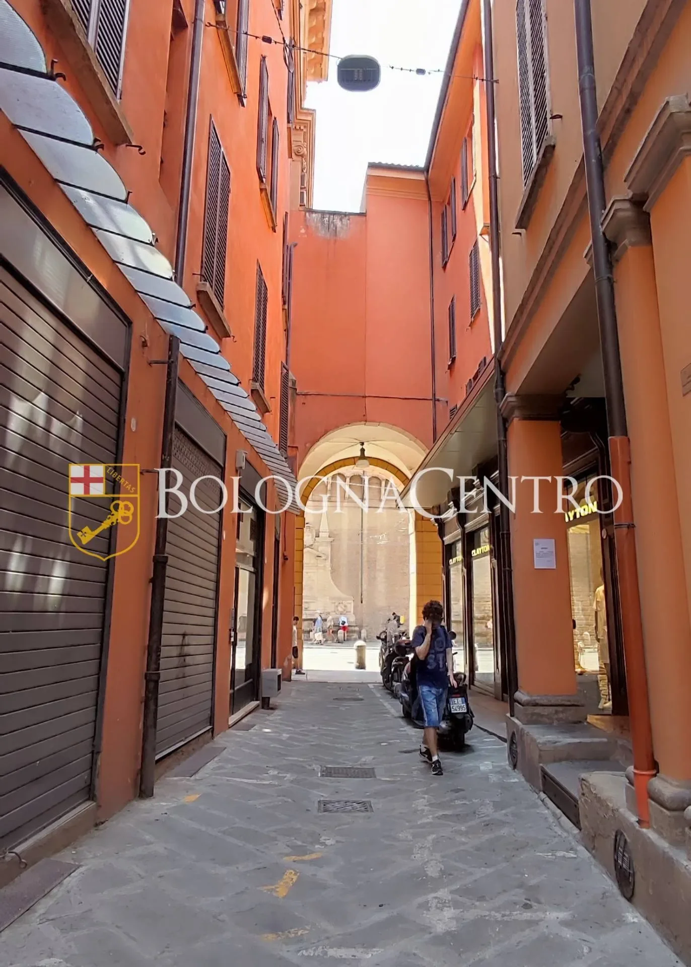 Gallery photo 11