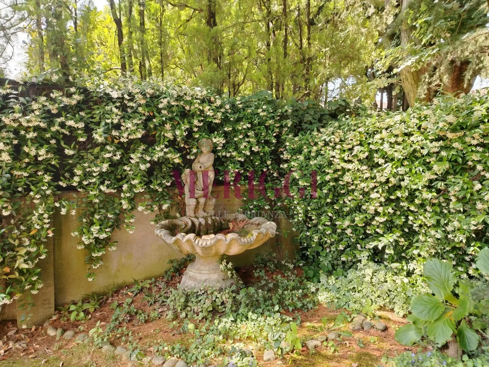 Viale dei Tigli, Cusano Milanino, Lombardy, Italy. - Photo 32