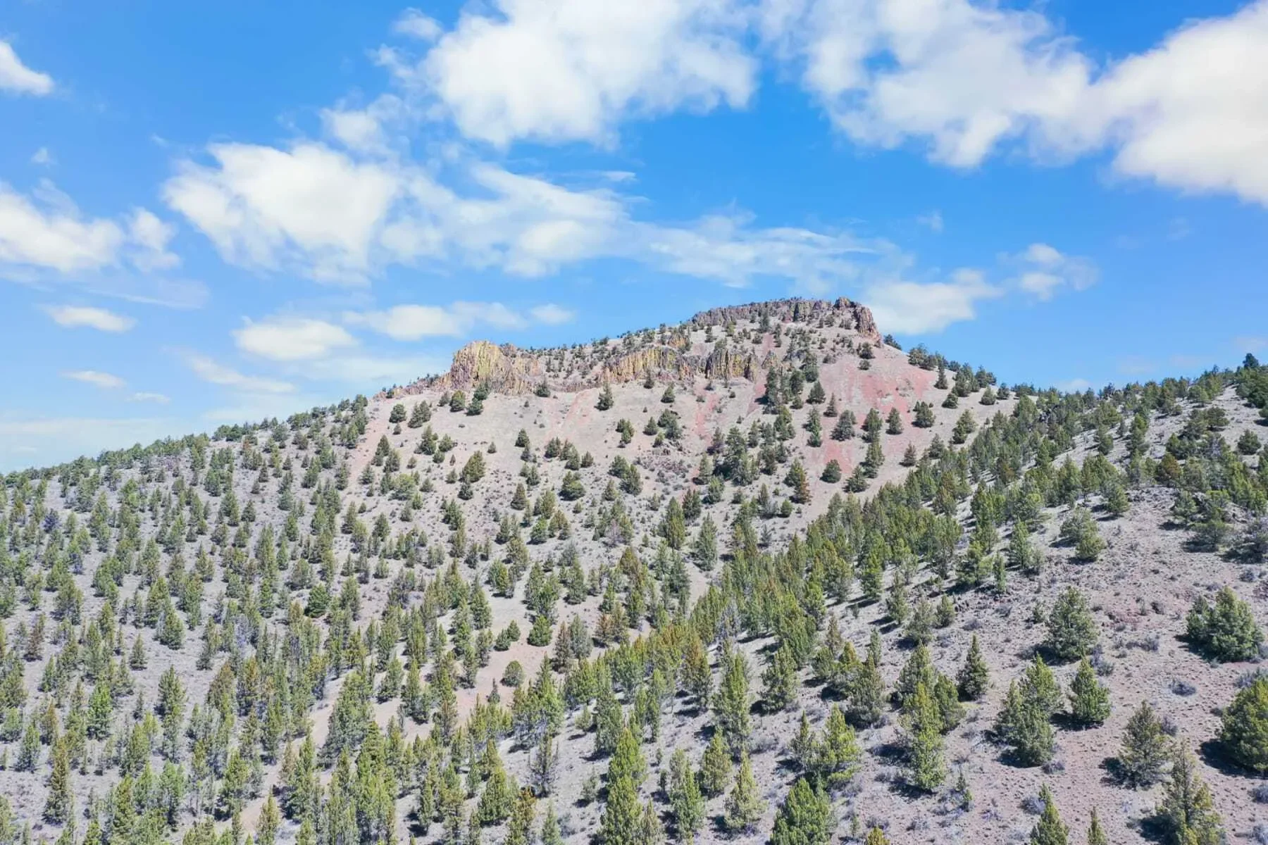 16305 N Ochoco Highway , Prineville, OR 97754, Prineville, Oregon, United States. - Photo 28