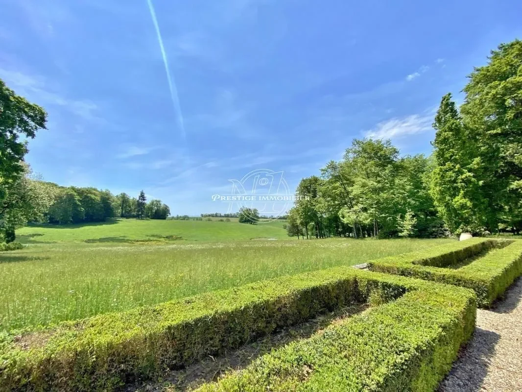 TARN, TARN, Saint-Pierre-de-Trivisy, Occitanie, France. - Photo 22