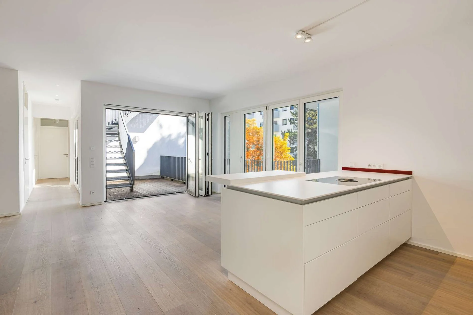 Gallery photo 1