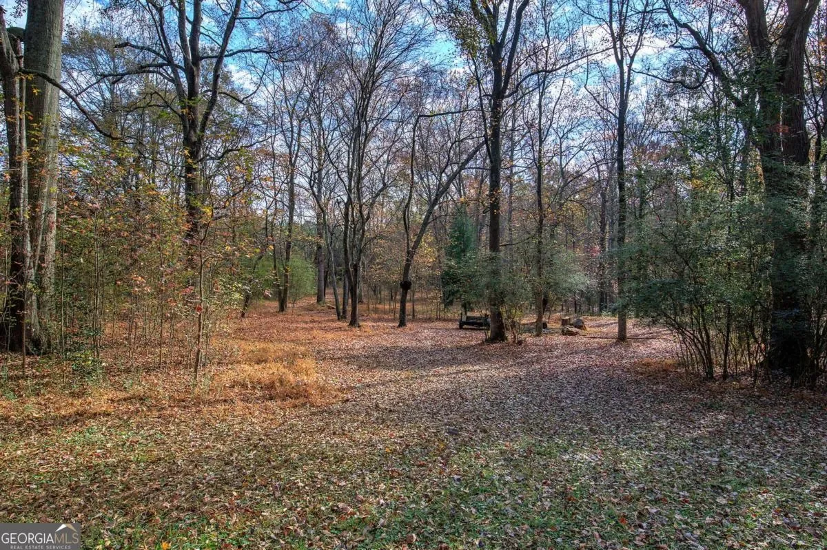 Douglasville, Georgia, United States. - Photo 34