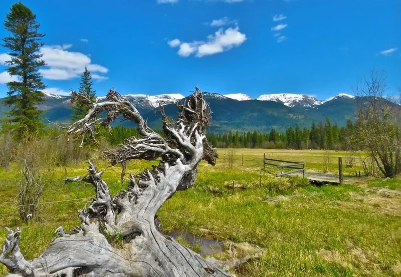 895 Mud Lake Road, Bigfork, Montana, United States. - Photo 10