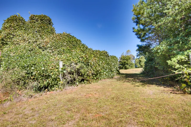 Lot 13 Buffalo Creek Rd, Lake Lure, NC 28746, Lake Lure, North Carolina, United States. - Photo 6