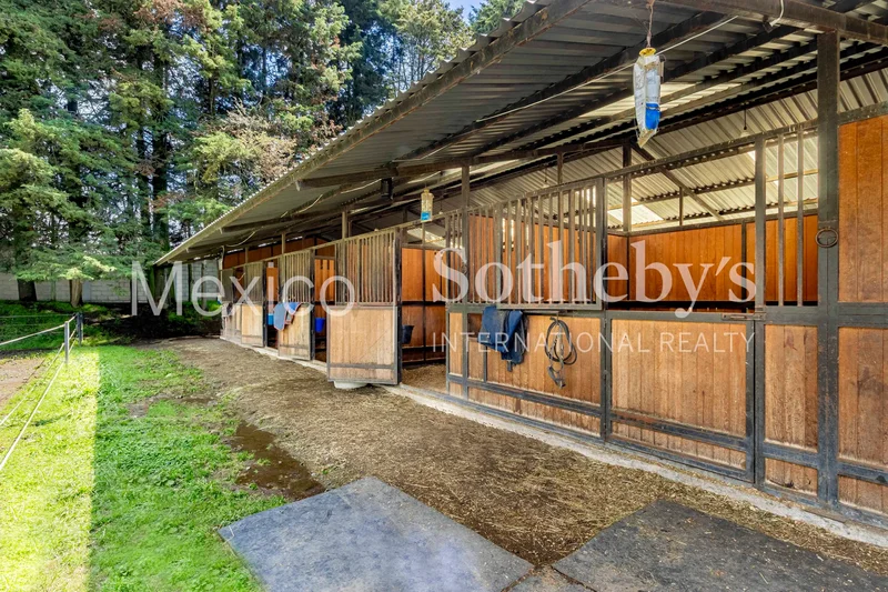 Aquexcumal, Mexico City, MEX, Mexico City, Mexico. - Photo 19