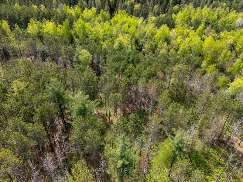 PT 2 LT 24 4th Line E, Shelburne, Ontario, Canada. - Photo 22