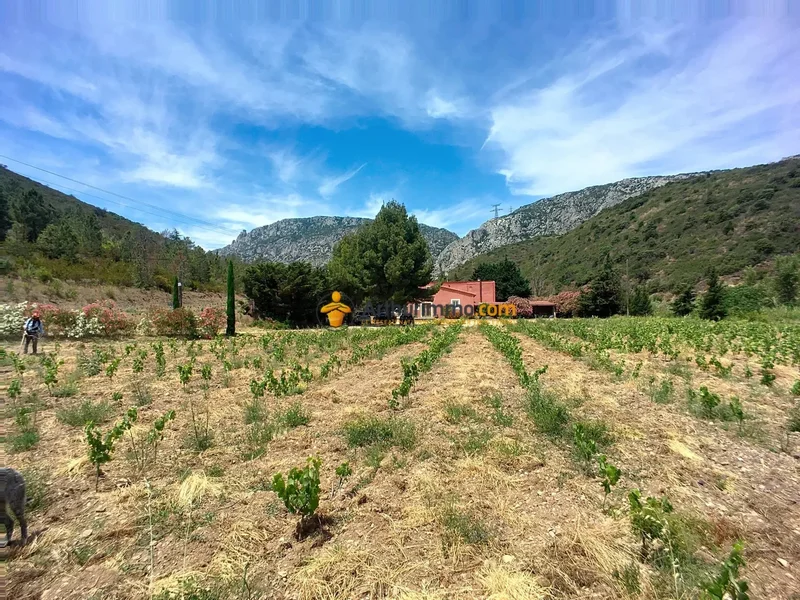 Tautavel, Occitanie, France. - Photo 6