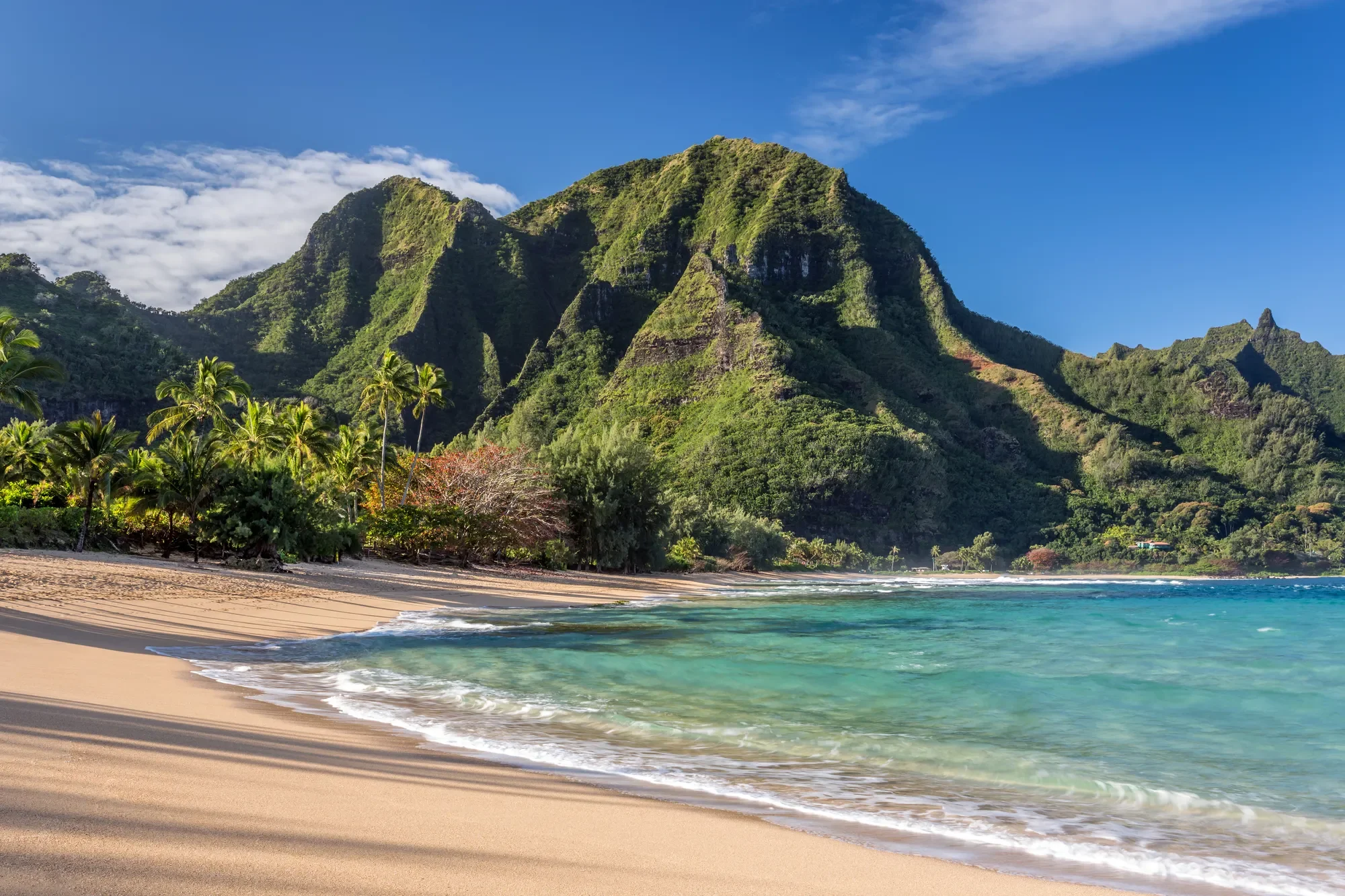 7312 ALEALEA RD, Hanalei, HI, 96722, USA, Kapaʻa, Hawaii, United States. - Photo 18