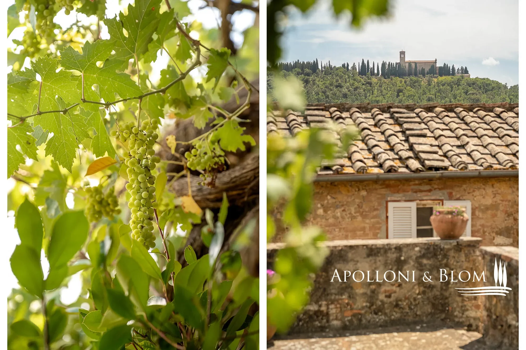 Trequanda, Tuscany, Italy. - Photo 1